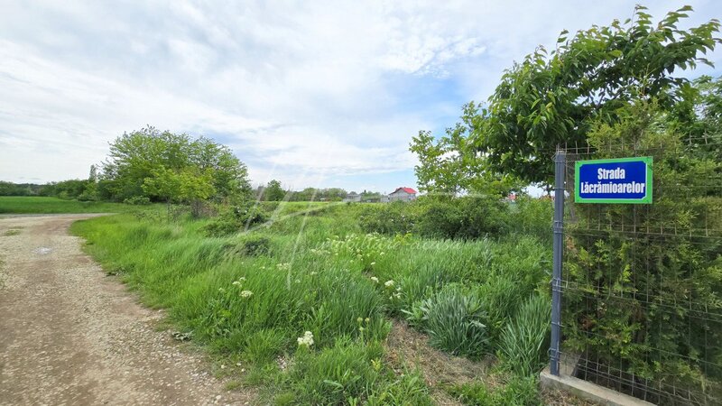 Bolintin Deal, teren intravilan in zona rezidentiala, la 1 km de A0 si A1.